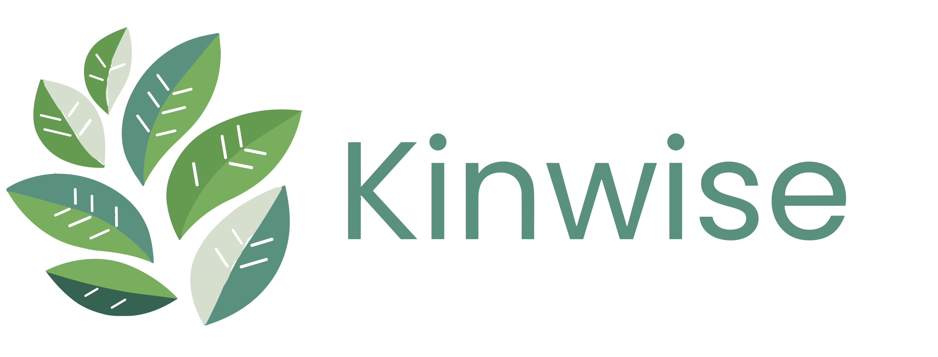 Kinwise Logo